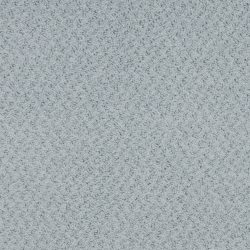 Masland  New Hope Carpet 9478 460