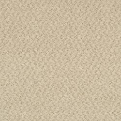 Masland  New Hope Carpet 9478 510