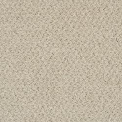 Masland  New Hope Carpet 9478 545