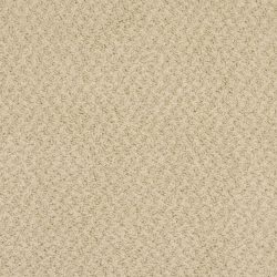 Masland  New Hope Carpet 9478 546