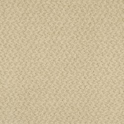 Masland  New Hope Carpet 9478 547