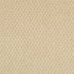 Masland  New Hope Carpet 9478 557