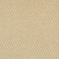Masland  New Hope Carpet 9478 563