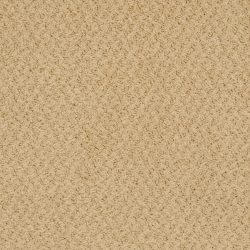 Masland  New Hope Carpet 9478 572