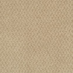 Masland  New Hope Carpet 9478 615