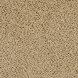 Masland  New Hope Carpet 9478 620