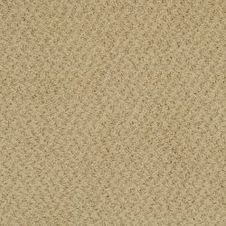 Masland  New Hope Carpet 9478 659