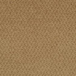 Masland  New Hope Carpet 9478 667