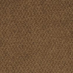 Masland  New Hope Carpet 9478 675