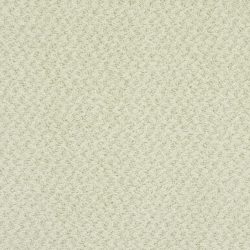 Masland  New Hope Carpet 9478 719