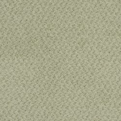 Masland  New Hope Carpet 9478 740