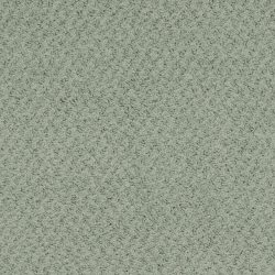 Masland  New Hope Carpet 9478 743