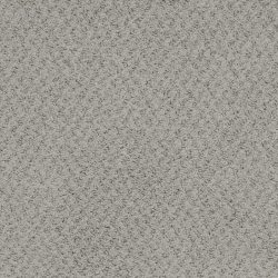 Masland  New Hope Carpet 9478 849