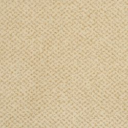 Masland  Montauk Carpet 9479 342