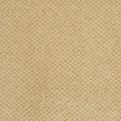 Masland  Montauk Carpet 9479 360