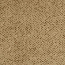 Masland  Montauk Carpet 9479 388