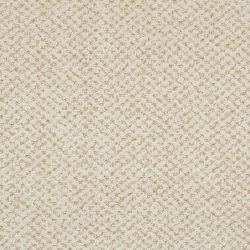 Masland  Montauk Carpet 9479 510