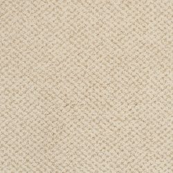 Masland  Montauk Carpet 9479 546