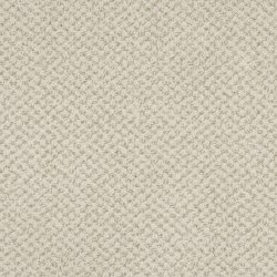 Masland  Montauk Carpet 9479 573