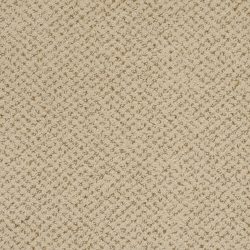 Masland  Montauk Carpet 9479 620