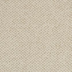 Masland  Montauk Carpet 9479 625