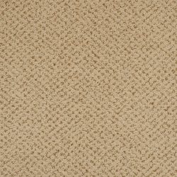 Masland  Montauk Carpet 9479 649