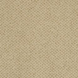 Masland  Montauk Carpet 9479 659