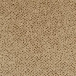 Masland  Montauk Carpet 9479 667