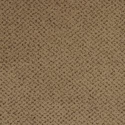Masland  Montauk Carpet 9479 675