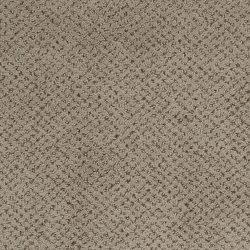 Masland  Montauk Carpet 9479 677