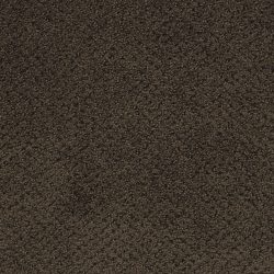Masland  Montauk Carpet 9479 682