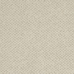 Masland  Montauk Carpet 9479 817