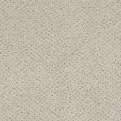 Masland  Montauk Carpet 9479 828