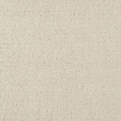 Masland  Mattise Carpet 9493 510