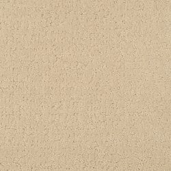 Masland  Mattise Carpet 9493 520