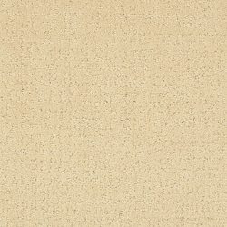 Masland  Mattise Carpet 9493 526