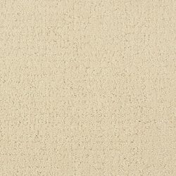 Masland  Mattise Carpet 9493 528