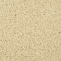 Masland  Mattise Carpet 9493 534
