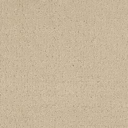 Masland  Mattise Carpet 9493 535