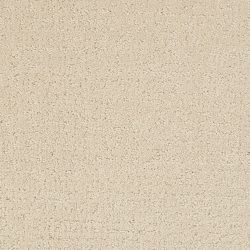 Masland  Mattise Carpet 9493 543