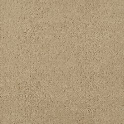 Masland  Mattise Carpet 9493 556