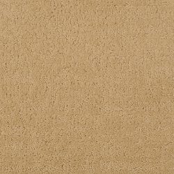 Masland  Mattise Carpet 9493 572