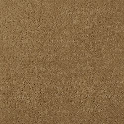 Masland  Mattise Carpet 9493 662