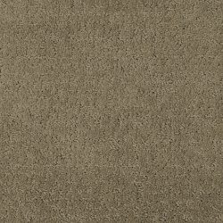 Masland  Mattise Carpet 9493 671