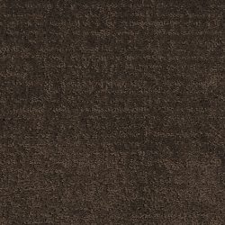 Masland  Mattise Carpet 9493 684