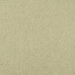 Masland  Mattise Carpet 9493 746