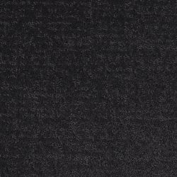 Masland  Mattise Carpet 9493 838