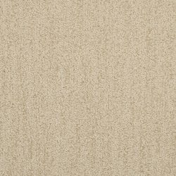 Masland  Firenze Carpet 9494 007