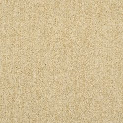 Masland  Firenze Carpet 9494 306