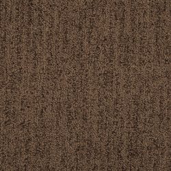 Masland  Firenze Carpet 9494 605